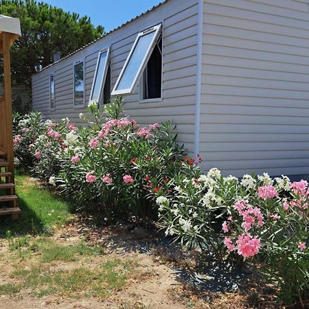 Chez Boby ! Hotel Canet-en-Roussillon Ngoại thất bức ảnh