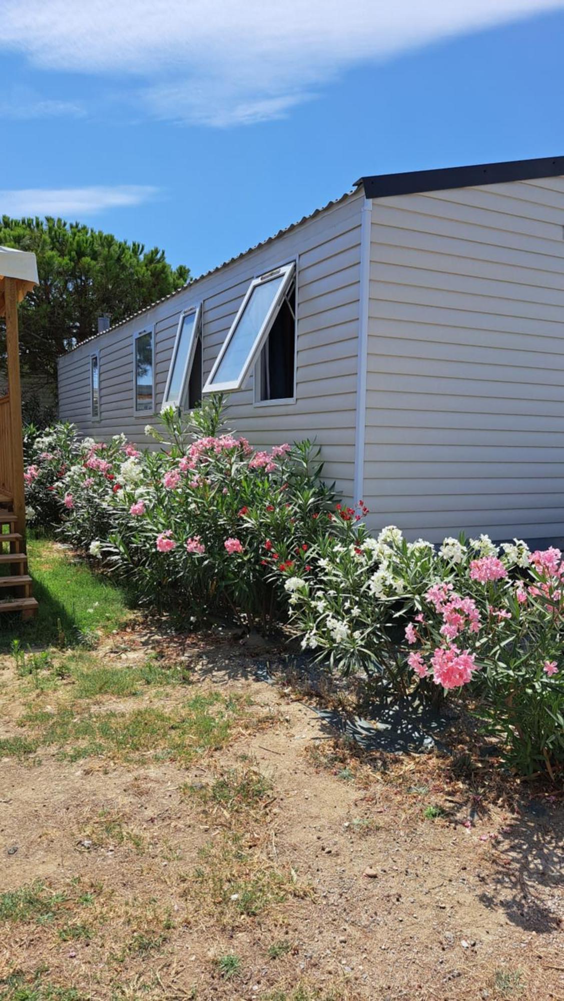 Chez Boby ! Hotel Canet-en-Roussillon Ngoại thất bức ảnh